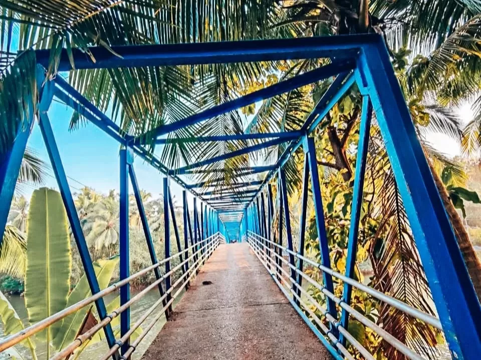 Walking on blue Zuem Bridge Majuli Assam during clear day, featuring palm trees and banana plants, perfect adventure experience Majuli tour package. 