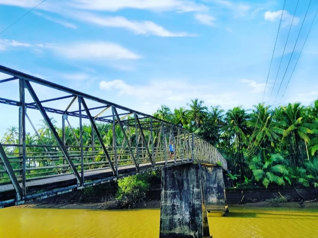 Person walking on Zuem Bridge Majuli Assam during sunny skies, featuring coconut palms, river and power lines, perfect adventure experience Majuli tour package. 