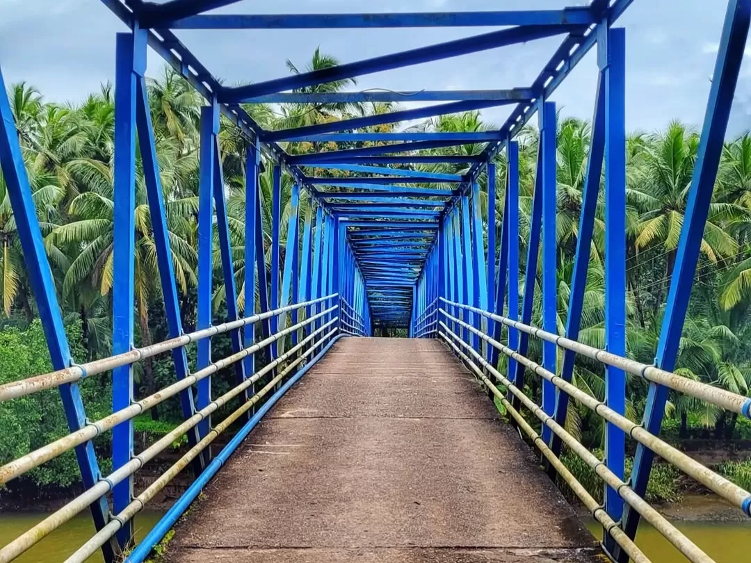 Perspective view of blue Zuem Bridge Majuli Assam during partly cloudy day, featuring swaying coconut palms and river below, perfect adventure experience Majuli tour package.