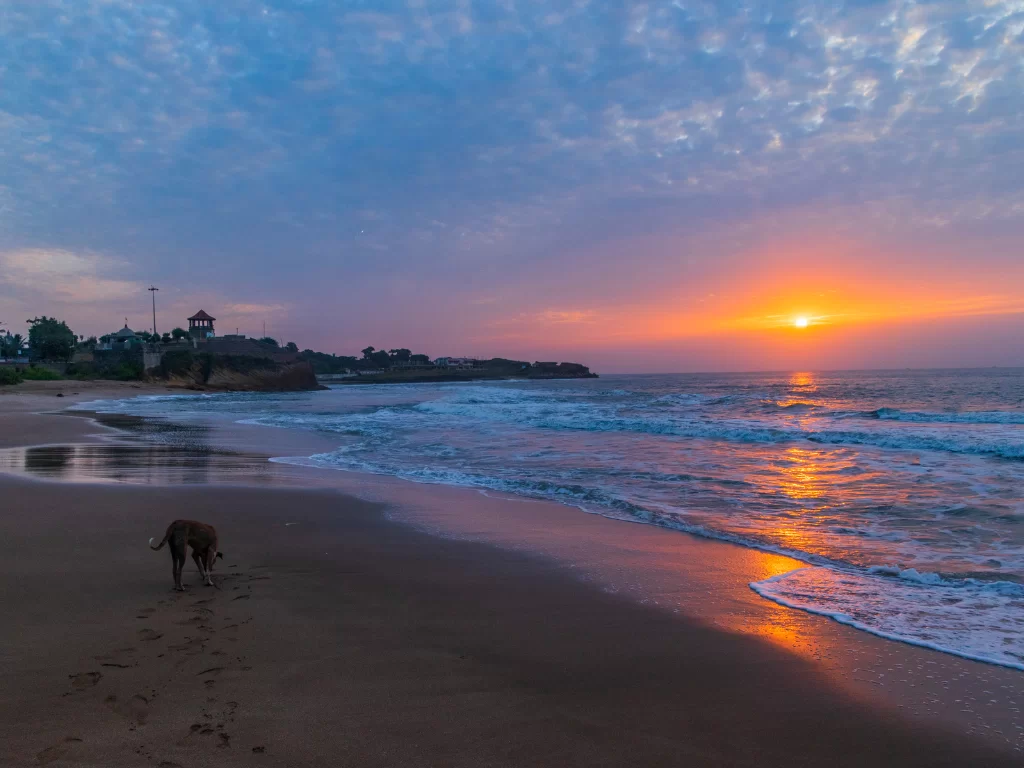 Dog walking at Jallandhar Beach Diu during sunset, featuring golden waves and cliff reflections, perfect romantic Diu tour package.