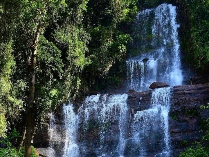 Jhari Waterfall in Chikkamagaluru during daylight, featuring cascading waterfall and lush rainforest, perfect nature experience, Karnataka tour packages.