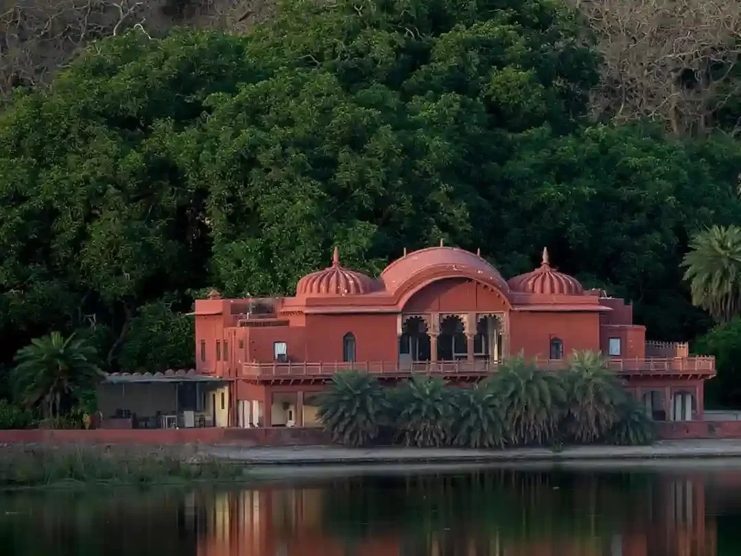 Jogi Mahal historic red sandstone hunting lodge featuring a massive ancient banyan tree and serene views of Padam Talao lake within Ranthambore National Park Rajasthan.