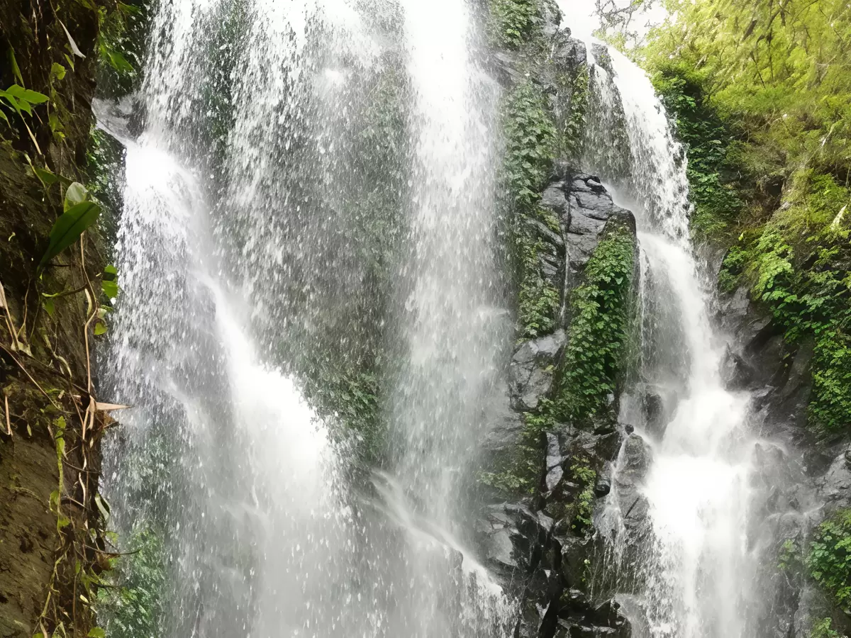 Cascading Kaipholangso Waterfall at Kaziranga during misty day, featuring rocky cliffs vines and lush greenery, perfect adventure experience Assam tour package. 