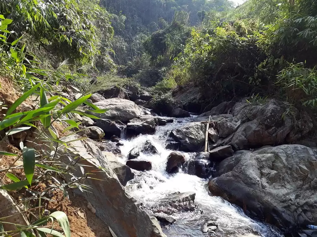 Scenic stream at Kaipholangso Waterfall Kaziranga during sunny day, featuring rocks bamboo forest and flowing water, perfect adventure experience Kaziranga tour package.