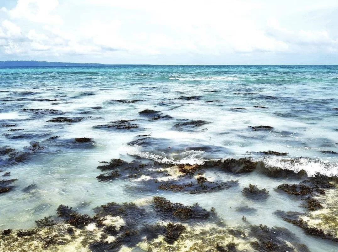 Wide-angle black volcanic rocks turquoise ocean waves white foam distant rainforest horizon partly cloudy blue sky Kalapathar Beach Havelock Island Andaman Islands, perfect dramatic black pebble sunrise beach Andaman eco-tourism package.