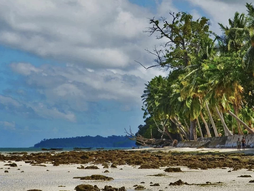 Duplicate palm-fringed black rock beach turquoise ocean partly cloudy sky Kalapathar Beach Havelock Andaman Islands, perfect tropical shoreline eco-tourism Andaman package.