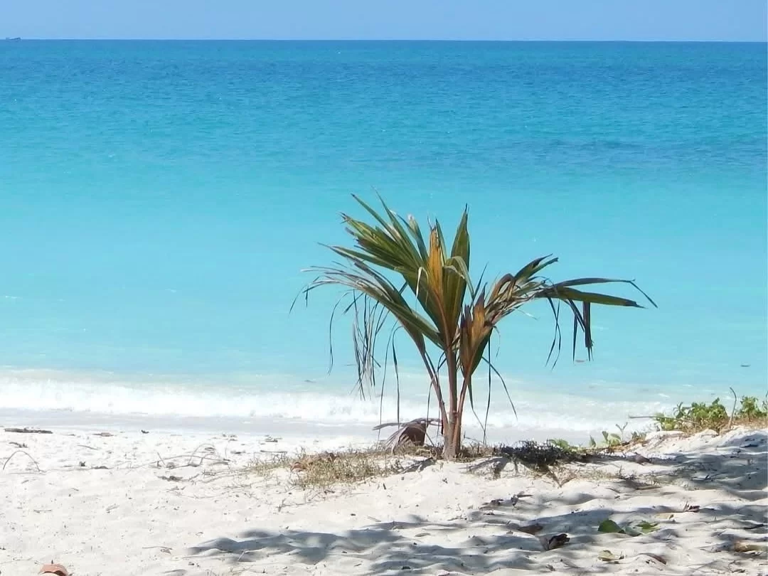Kalapather Beach, serene beach in Havelock Island, Andaman known for turquoise waters, soft white sand, and peaceful surroundings.