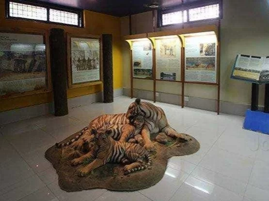 Kanha Museum Kanha National Park wildlife exhibits and conservation displays in Madhya Pradesh tour packages