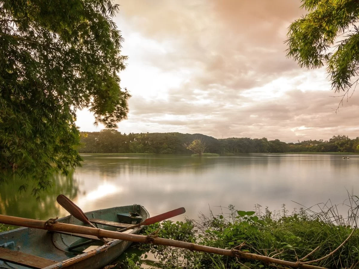 Serene green rowboat with wooden oars docked at lush tree-lined Karanji Lake Mysore during golden hour sunset, calm reflective waters distant tree canopy cloudy sky foreground reeds, perfect tranquil boating nature escape Karnataka tour package.