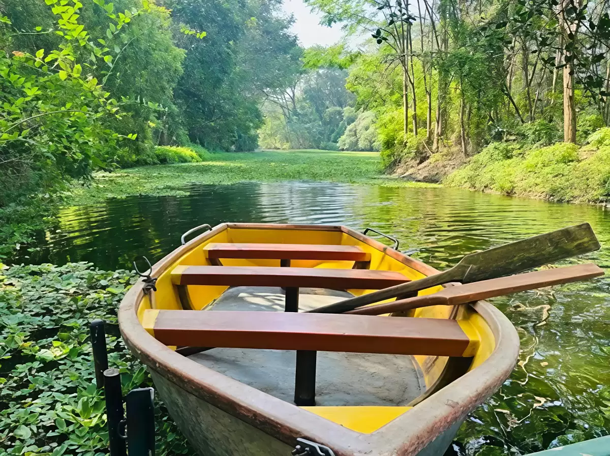 Traditional yellow rowboat docked amid water lilies Karanji Lake Mysore during sunny morning, flanked by lush green trees overhanging calm channel wooden oars benches, perfect boating nature experience Karnataka tour package.