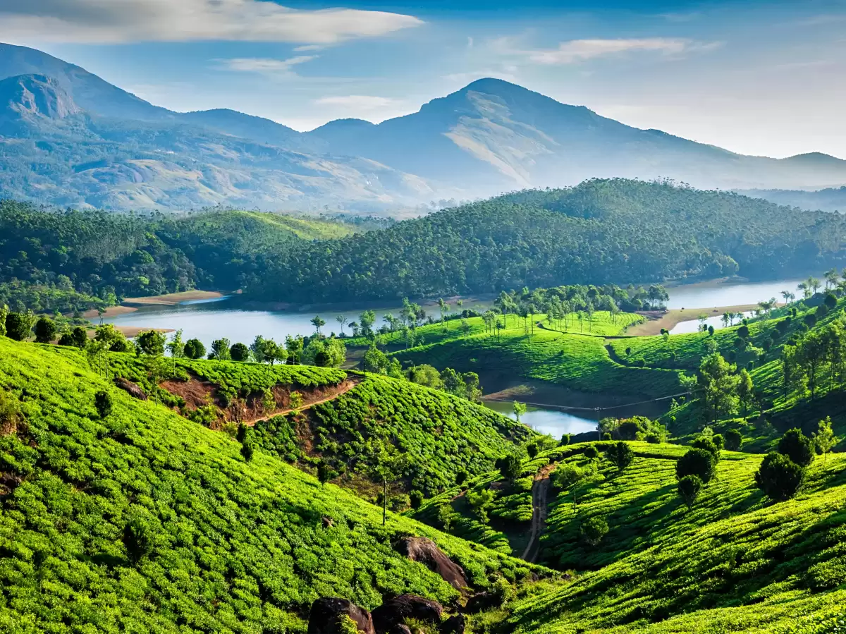 Kattery Park Coonoor scenic view during sunny day, featuring lush tea plantations, lake and Western Ghats mountains, perfect Tamil Nadu tour package.
