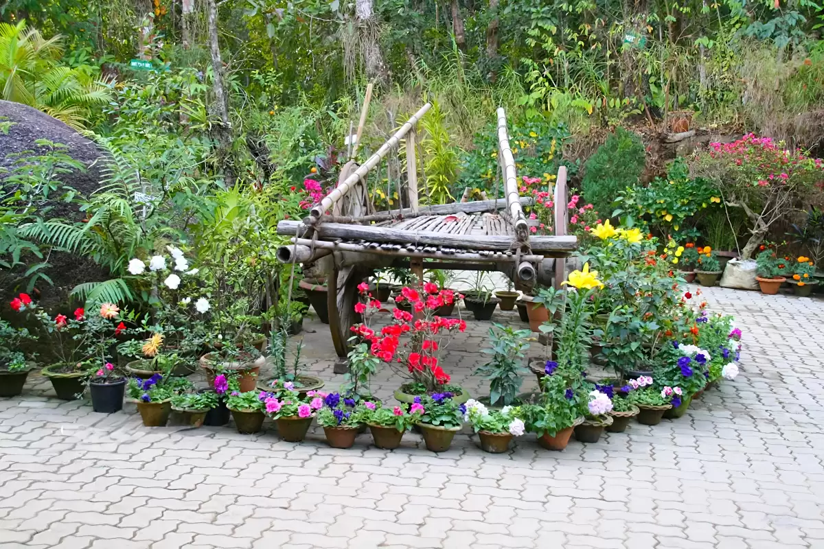 Colorful flowers around bamboo swing at Kaziranga National Orchid & Biodiversity Park during sunny day, featuring lush greenery potted plants, perfect romantic experience Assam tour package.