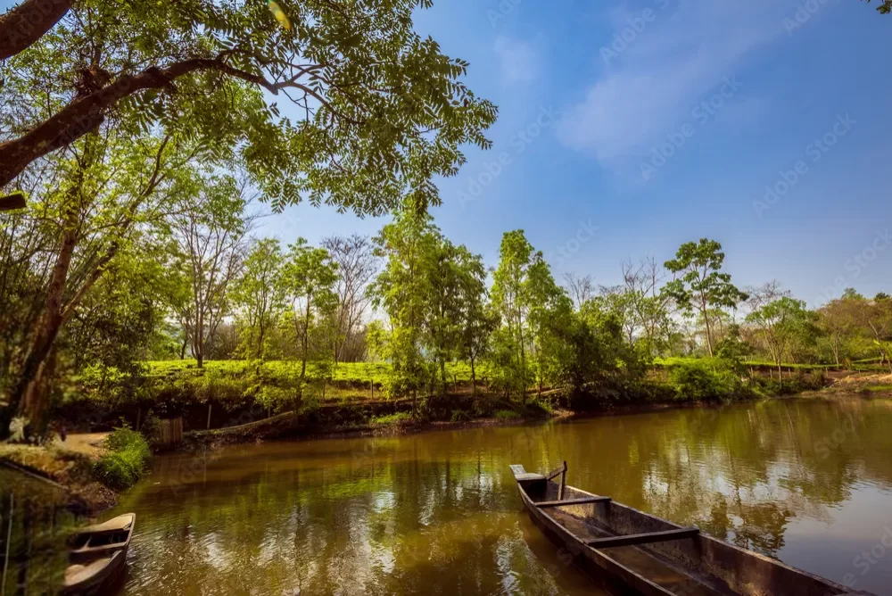 Traditional wooden boat at Kaziranga National Orchid & Biodiversity Park lake during sunny day, featuring green trees reflections, perfect adventure experience Assam tour package.