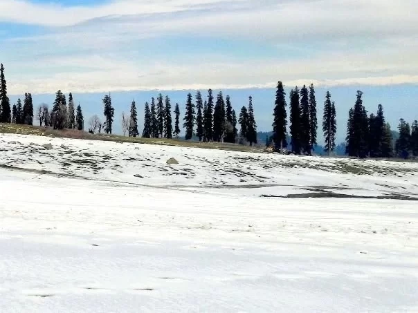Khilanmarg Gulmarg snow-covered meadow with pine trees and panoramic Himalayan views in Kashmir