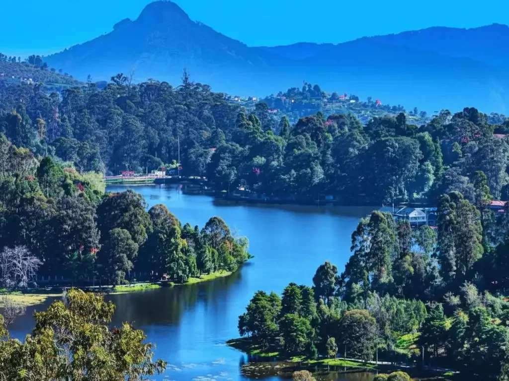 Kodai Lake in Kodaikanal featuring the star-shaped man-made lake surrounded by lush green hills, with rowing boats on the water and a paved walking path.