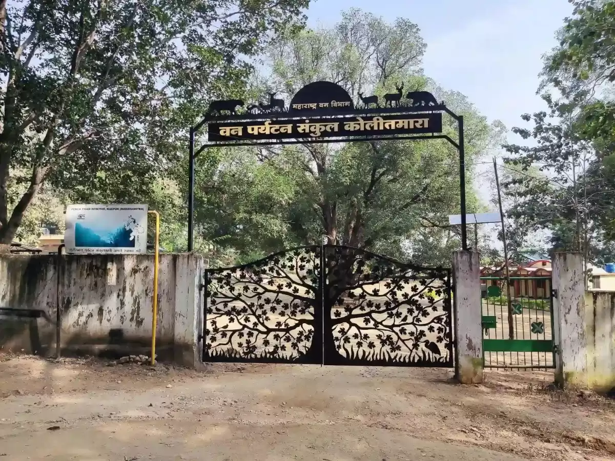 Kolitmara Gate Pench Tiger Reserve forest entrance in Madhya Pradesh tour packages
