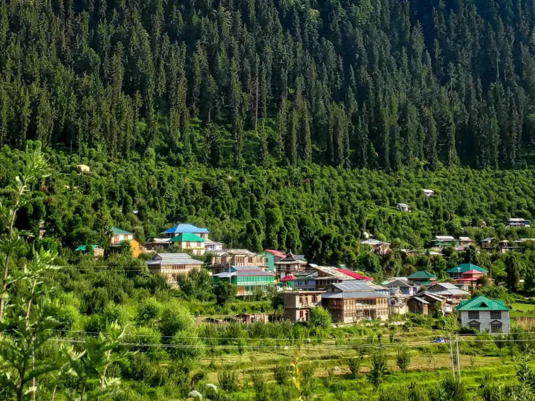 Kufri Himachal Pradesh mountain village colorful roof cottages apple orchards pine forested slopes green fields blue skies, perfect Himachal Pradesh tour packages.