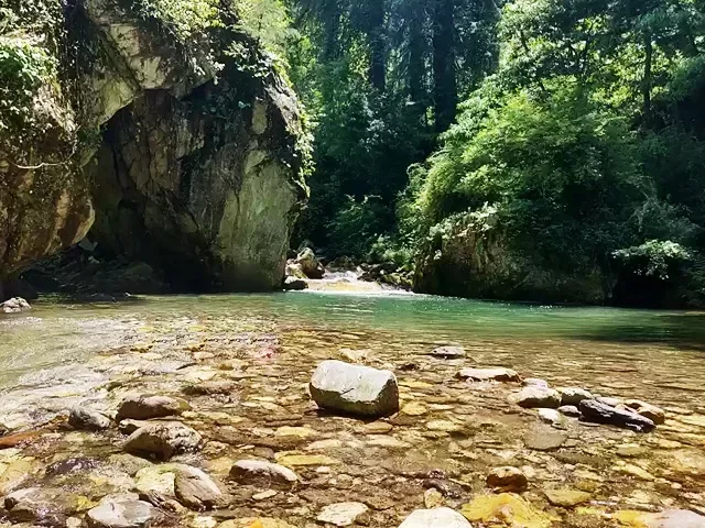 Kulhi Katandi Mini Thailand Jibhi Tirthan Valley Himachal Pradesh during sunny golden hour, featuring turquoise stream emerald green forested rocky canyon backdrop, perfect cultural experience Himachal tour package.