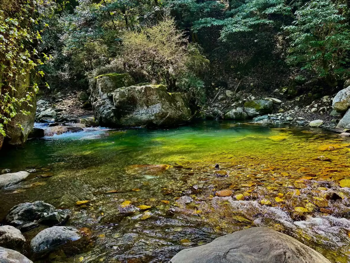 Kulhi Katandi in Jibhi featuring a crystal-clear green mountain stream flowing over smooth stones, surrounded by large boulders and dense forest greenery in a serene natural setting.
