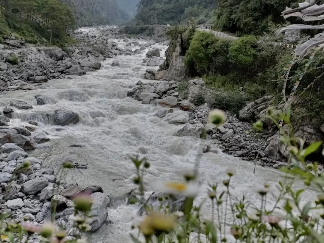 Lachen River Sikkim fast flowing Himalayan river with rocky valley and scenic mountain landscape