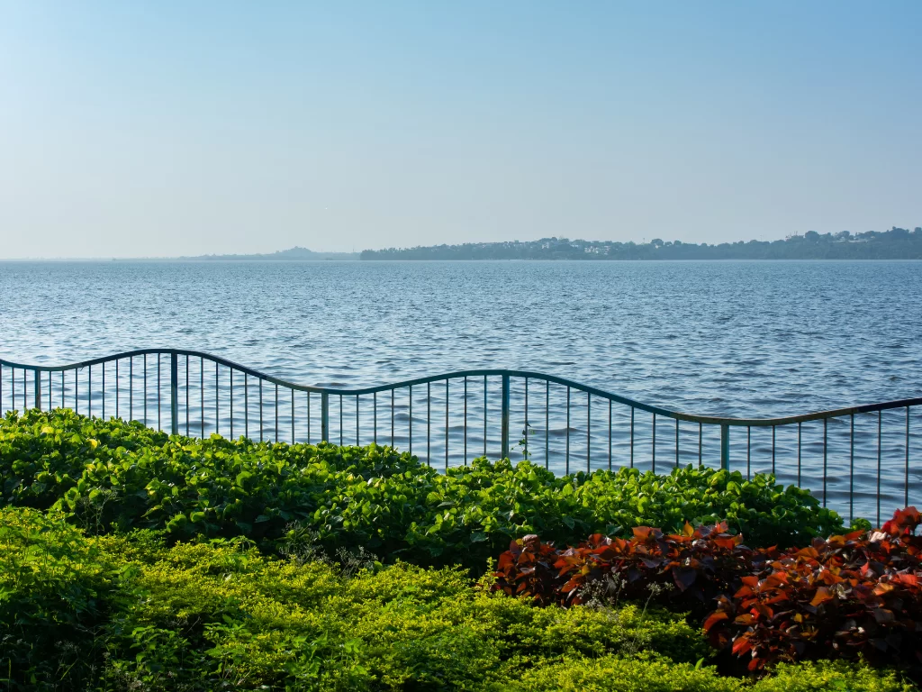 Upper Lake Bhopal during clear daylight, featuring green railing lush shrubs red plants lakeside view, perfect scenic Madhya Pradesh tour package.