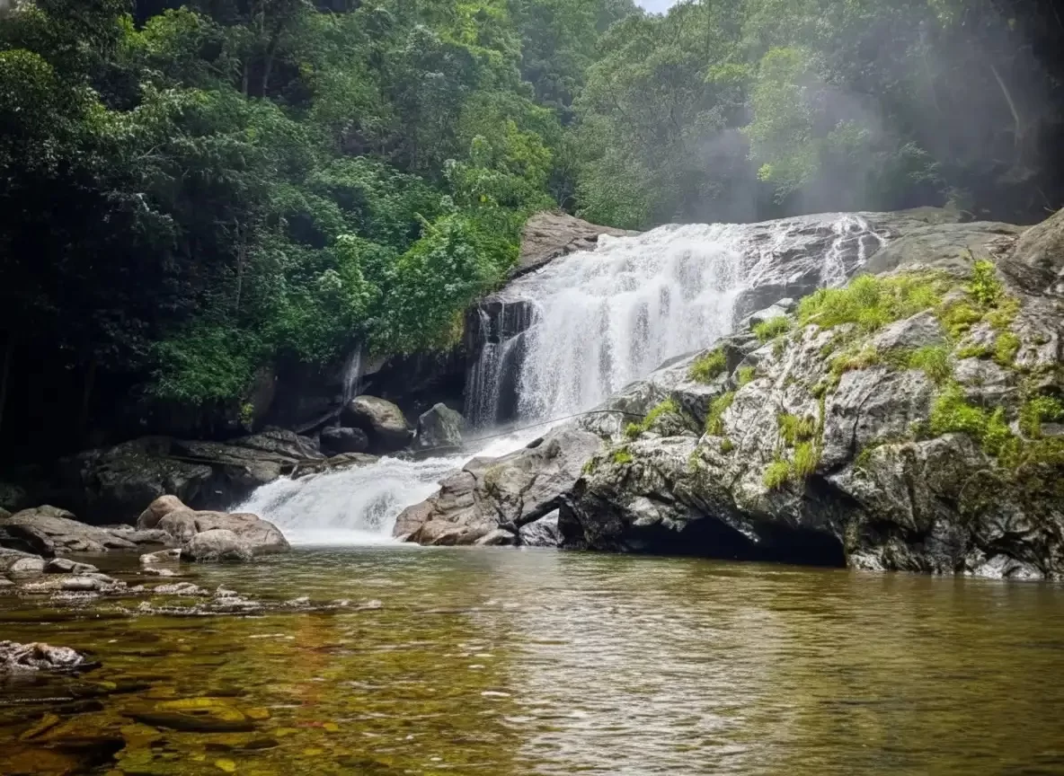 Lakkam Waterfall in Munnar, scenic forest cascade surrounded by lush greenery and rocky streams.