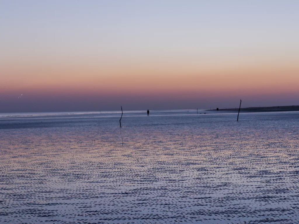 Mandvi Beach sunset at Kutch Gujarat during twilight, featuring silhouetted poles, pink-orange skies, glowing reflections on white sands and Arabian Sea, perfect romantic experience with Gujarat tour packages.