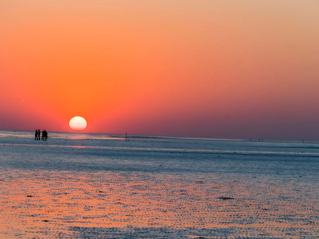 Mandvi Beach sunset at Kutch Gujarat, featuring golden sun, orange skies, silhouettes on white sands and Arabian Sea waves, perfect romantic experience with Gujarat tour packages.