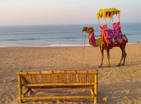 Madhavpur Beach Gujarat, serene sandy coastline with camel rides and scenic Arabian Sea views, popular coastal tourist destination.