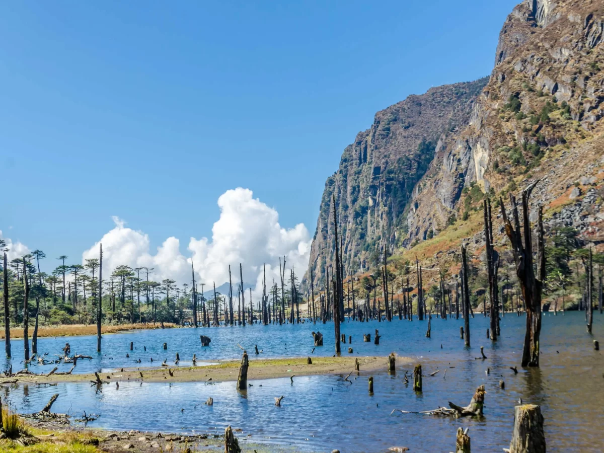 Serene Madhuri Lake Tawang during sunny day, featuring dead trees rocky cliffs clouds reflections, perfect adventure experience Arunachal Pradesh tour package.