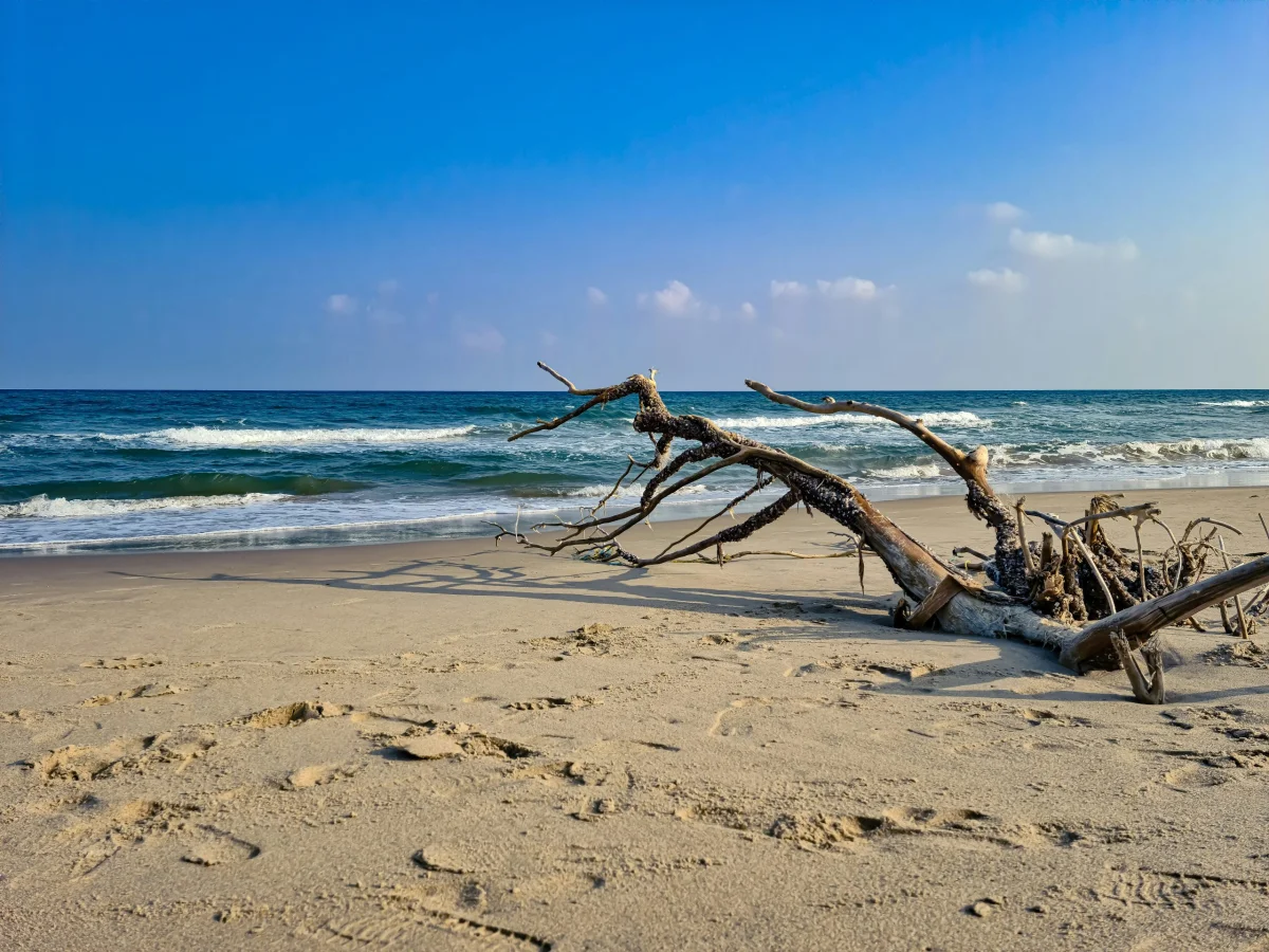 Paradise Beach