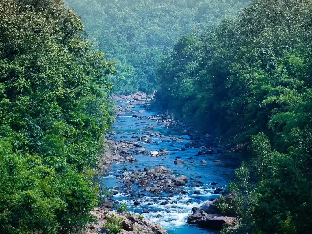 Maredumilli lush forest landscape with flowing river in Andhra Pradesh tour packages.