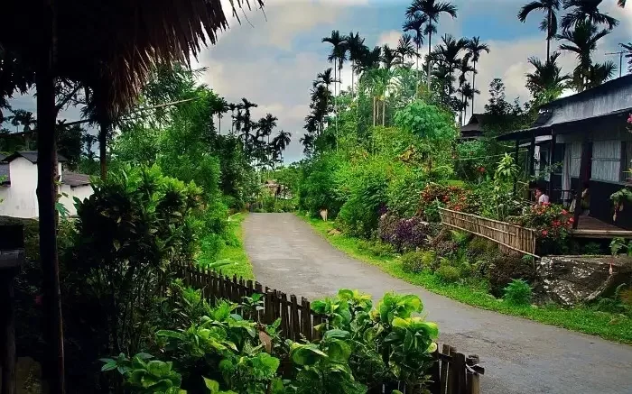 Mawlynnong Village in Meghalaya, clean green village with scenic roads and traditional houses.