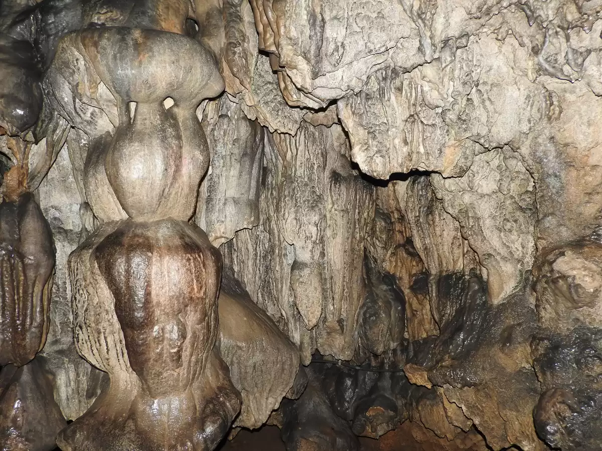 Mawsmai Cave Shillong Meghalaya interior dramatic stalactites stalagmites bulbous clustered formations wet limestone drips textured cave walls dim lighting natural speleothems underground wonder, perfect Meghalaya tour packages.