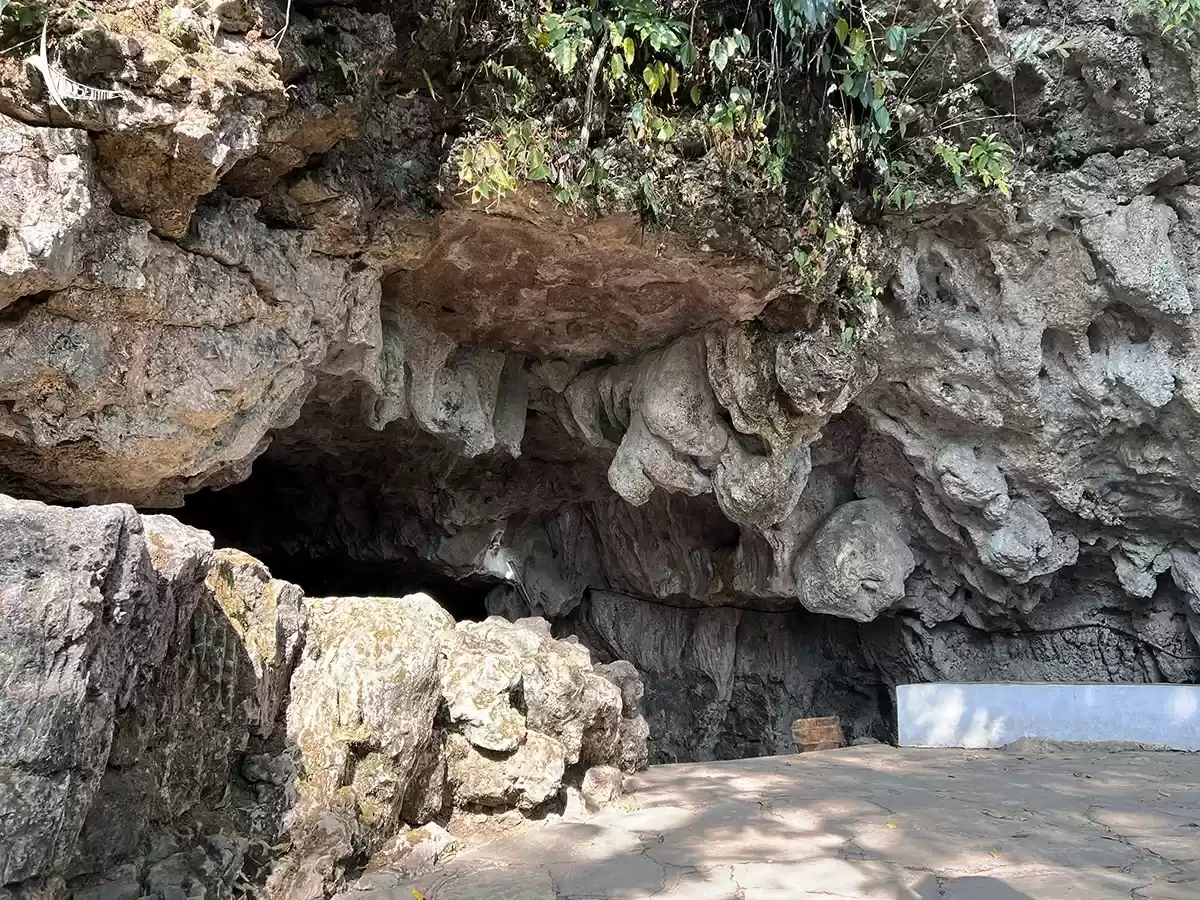 Mawsmai Cave Shillong Meghalaya cave entrance limestone rock face overgrown green foliage vines tropical vegetation paved pathway white shrine structure sunlight shadows dramatic overhang, perfect Meghalaya tour packages.