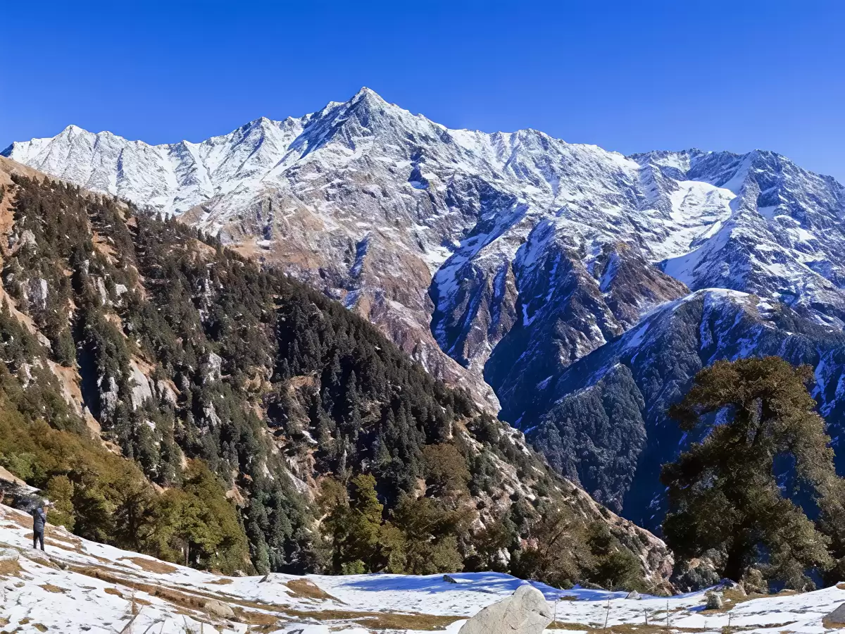 McLeod Ganj Dharamshala Himachal Pradesh during clear blue skies, featuring Dhauladhar snow-capped peaks pine forested valleys foreground snow patches rocky terrain backdrop, perfect cultural experience Himachal tour package.