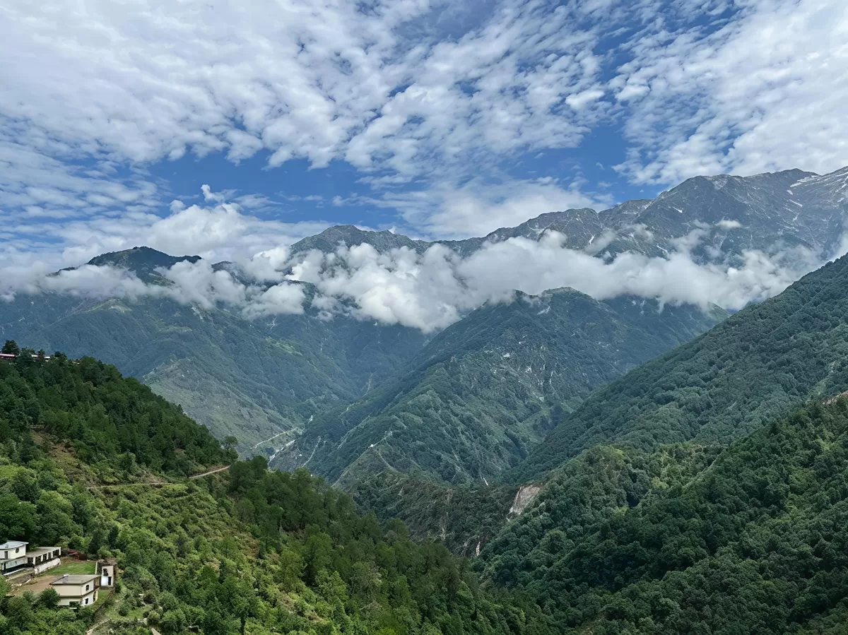 Naddi View Point McLeod Ganj Dharamshala Himachal Pradesh during partly cloudy skies, featuring panoramic Dhauladhar snow peaks green pine forested valley hills scattered buildings backdrop, perfect cultural experience Himachal tour package.