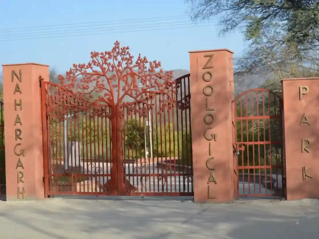 Nahargarh Biological Park Jaipur Modern zoo featuring lions tigers and blackbucks in a natural Aravalli forest Rajasthan.