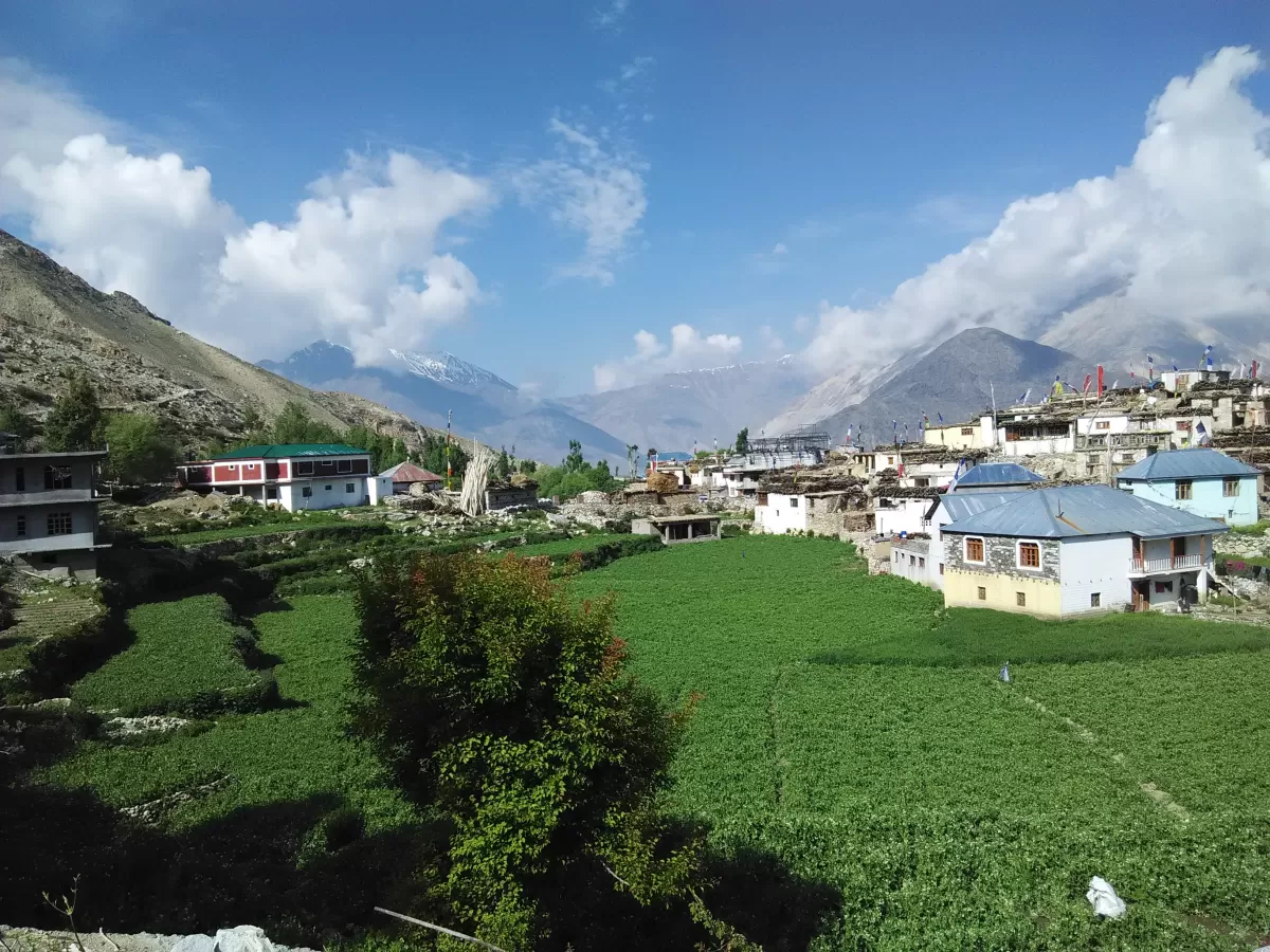Nako village near Nako Lake Spiti Valley during partly cloudy skies, featuring colorful houses terraced green fields trees distant snow mountains, perfect rural nature experience Himachal Pradesh tour package.