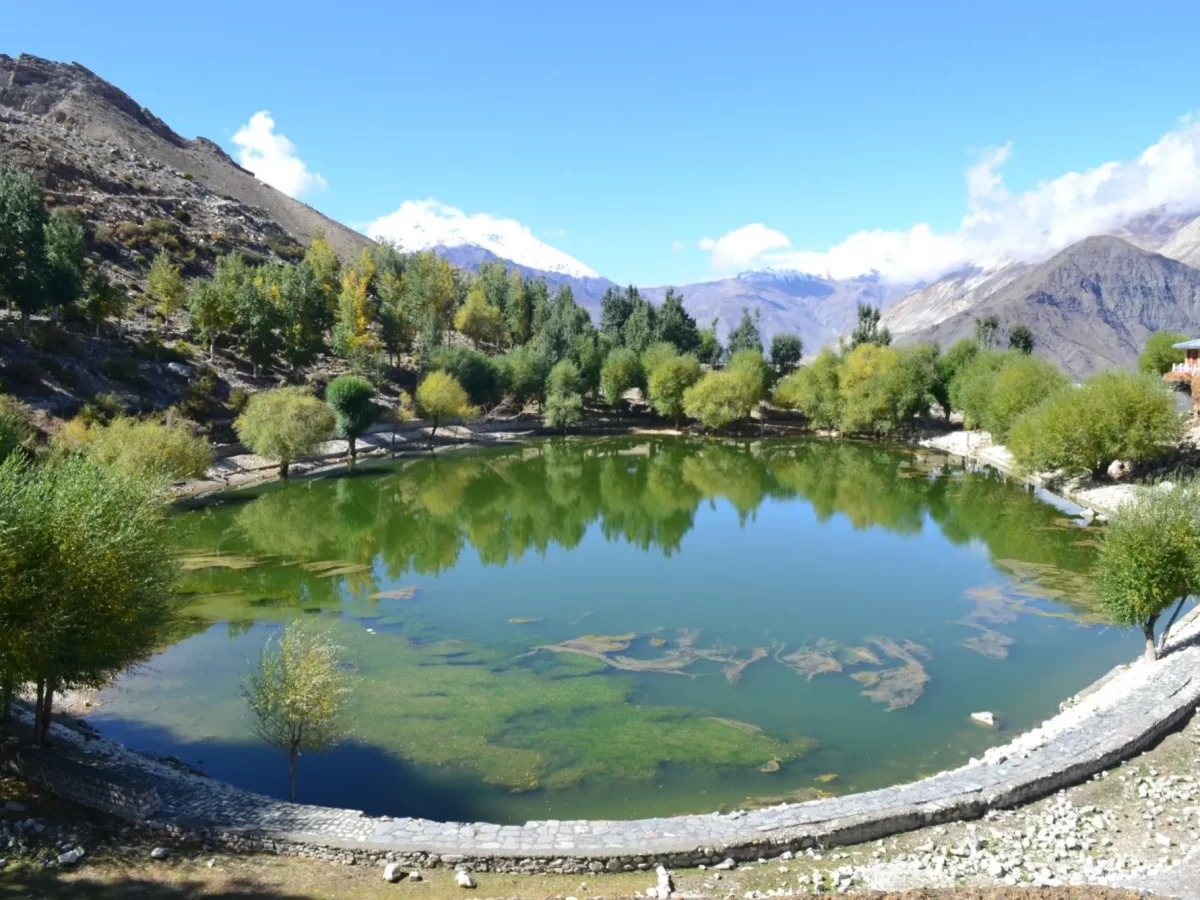 Nako Lake Spiti Valley during clear autumn skies, featuring green waters golden autumn trees stone embankment barren hills snow mountains, perfect nature experience Himachal Pradesh tour package.
