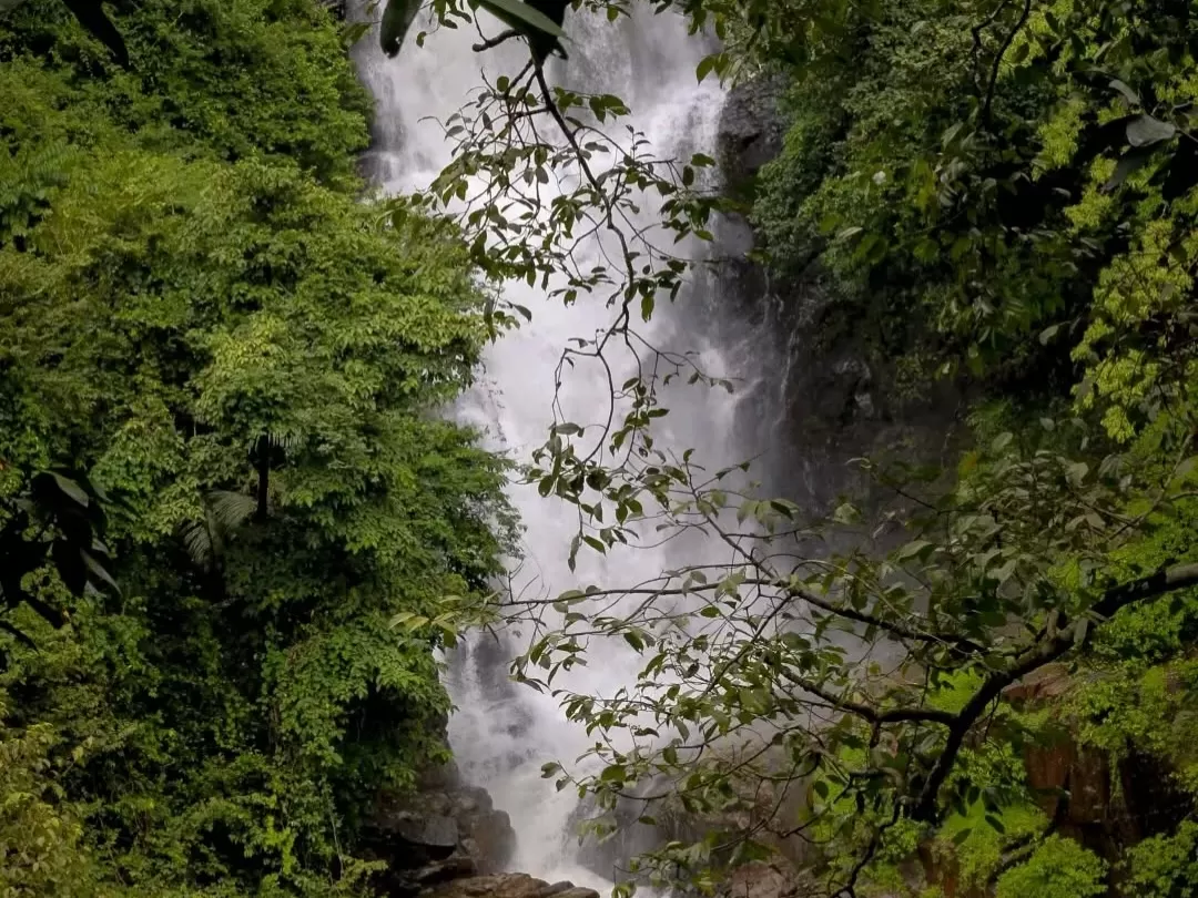 Netravali Wildlife Sanctuary Goa lush forest reserve with cascading waterfall and dense Western Ghats greenery