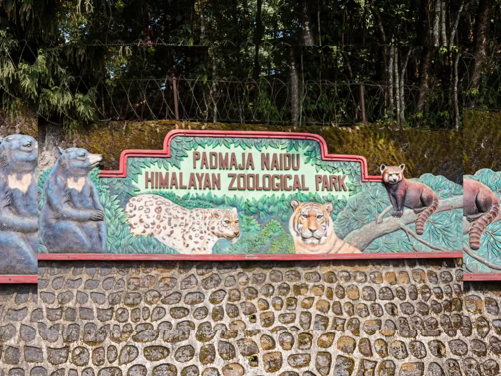 Entrance sign of Padmaja Naidu Himalayan Zoological Park in Darjeeling during daytime, featuring animal murals and forest backdrop, perfect Sikkim tour package