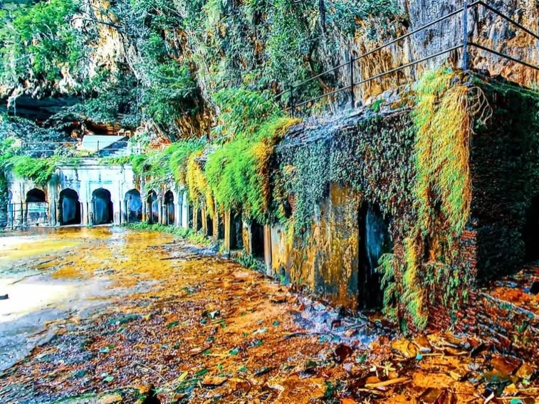 Pandav Caves in Pachmarhi Cantt, Madhya Pradesh, featuring ancient rock-cut cave entrances along a sandstone cliff surrounded by lush greenery – a historic highlight often included in Madhya Pradesh tour packages.