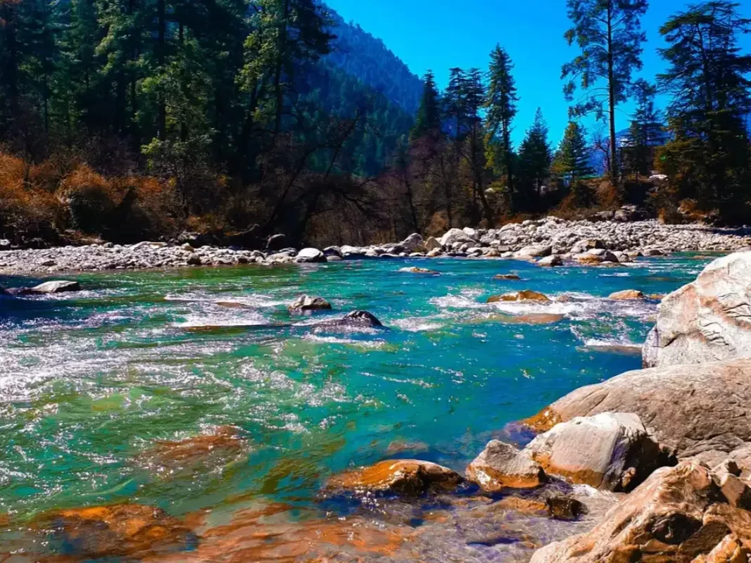 Parvati River Kasol Parvati Valley Himachal Pradesh during clear blue skies, featuring turquoise rapids large boulders deodar pine forested Himalayan peaks backdrop, perfect cultural experience Himachal tour package.