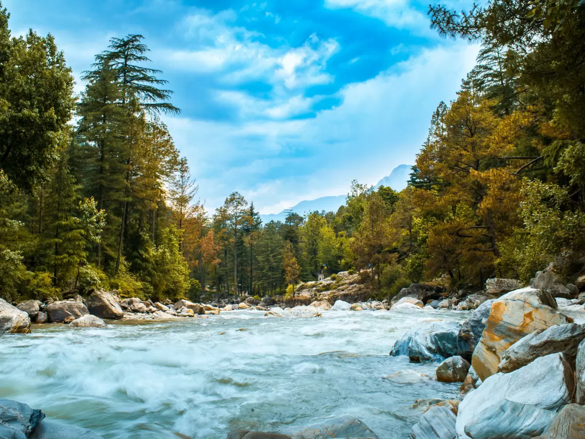 Parvati River near Kasol Parvati Valley Himachal Pradesh during partly cloudy blue skies, featuring turquoise rapids large boulders pine deodar forested snow-capped Himalayan peaks backdrop, perfect cultural experience Himachal tour package.