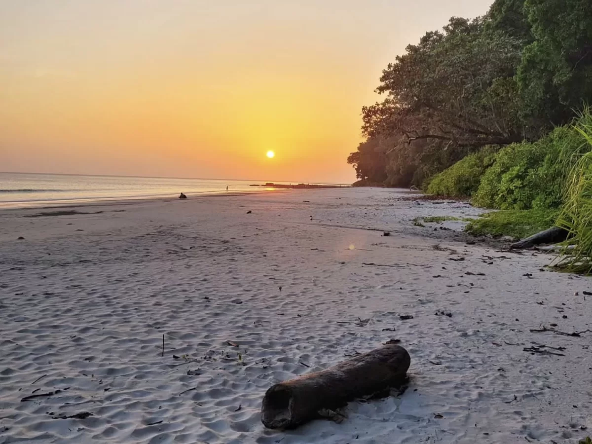 Radhanagar Beach No.7 Havelock Island Andaman stunning sunset with orange sun setting over misty ocean, featuring white sand beach, driftwood log, lush green forested backdrop, perfect tropical tour package. 