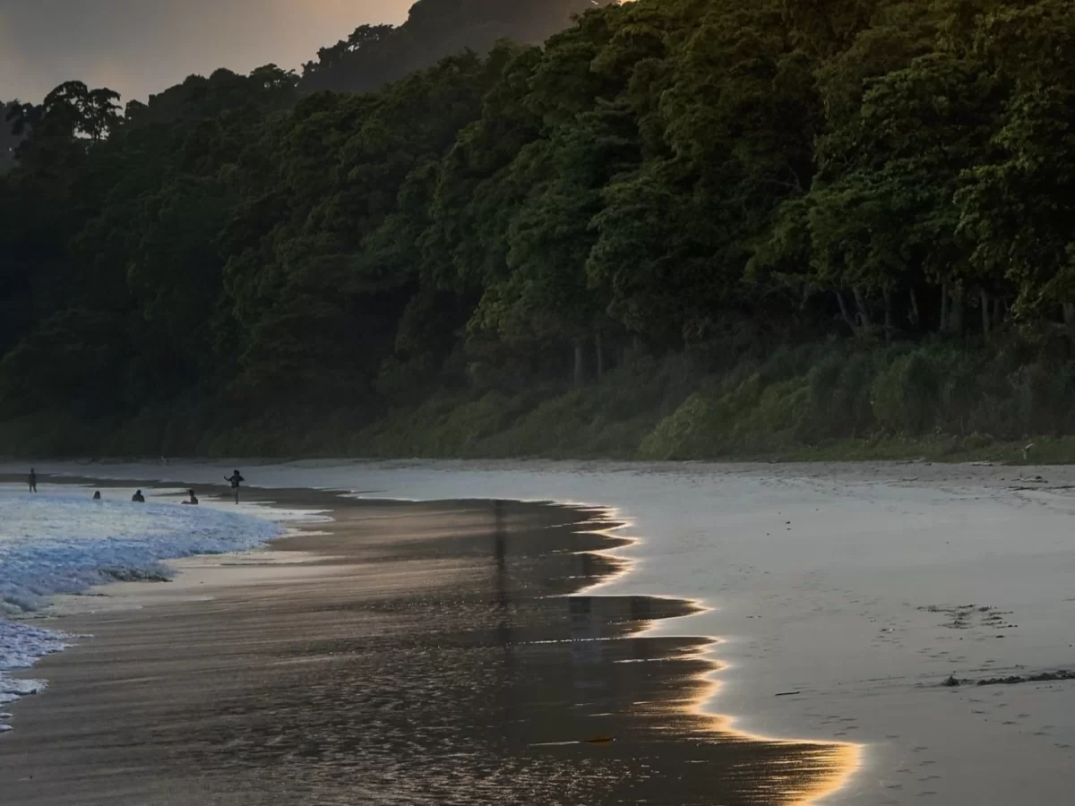 Radhanagar Beach No.7 Havelock Island Andaman golden hour panorama with lush green forested hills, featuring silhouetted surfers on white sand beach with reflective waves, tropical adventure tour package.