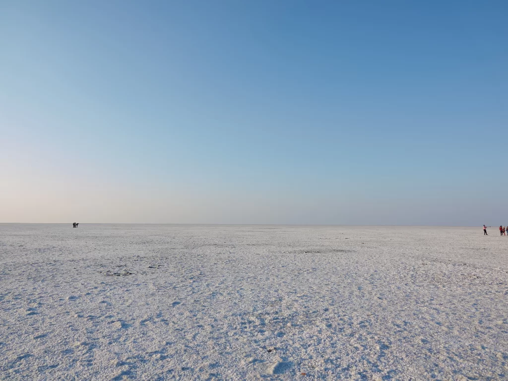 Tourists at White Rann of Kutch during clear day, featuring distant people, endless white salt desert and vast horizon, perfect adventure experience with Gujarat tour packages.