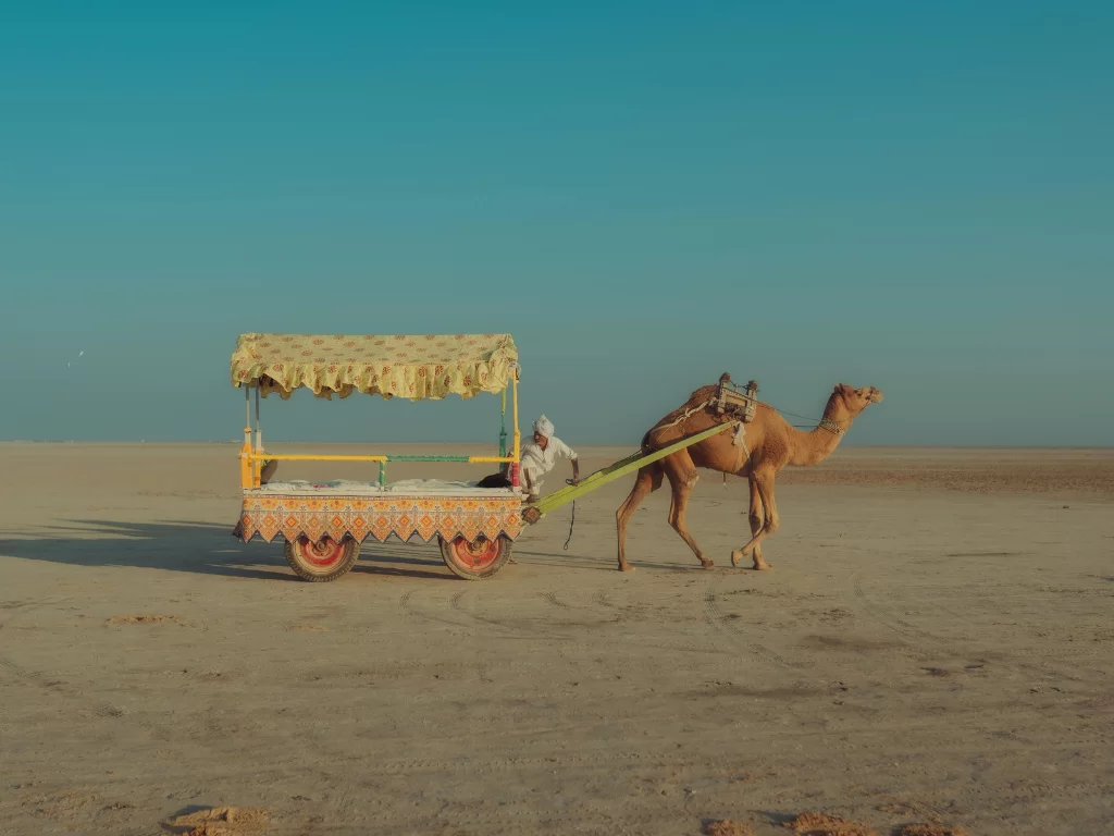 Camel cart ride at Rann of Kutch during clear day, featuring decorated yellow canopy, Kutchi man, camel and vast white salt desert, perfect adventure experience with Gujarat tour packages.