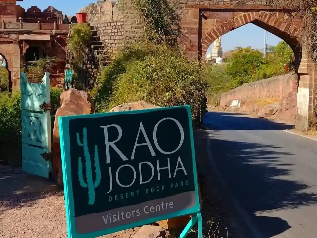 Rao Jodha Desert Rock Park Jodhpur Ecologically restored volcanic wasteland featuring native lithophytic plants and trails through 72-hectare rhyolite rock formations Rajasthan.